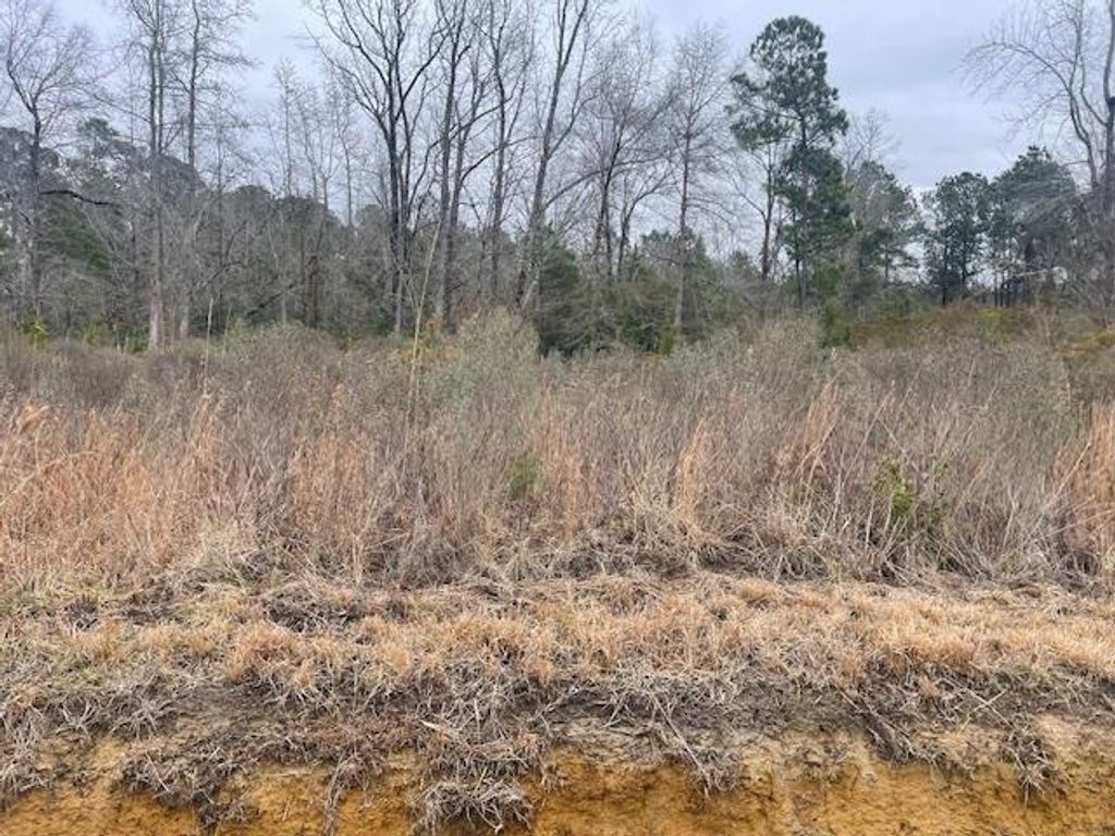3137 Deer Creek Dr., Loris, SC 29569 — photo 2