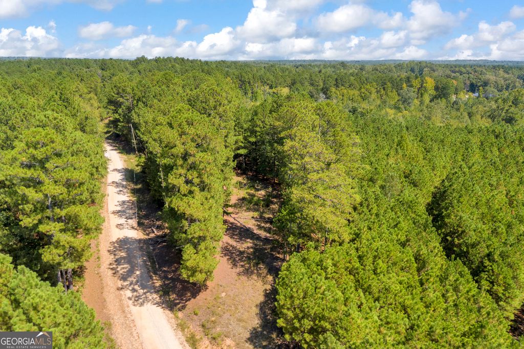 0 McCannon Road, Carlton, GA 30627 — photo 5