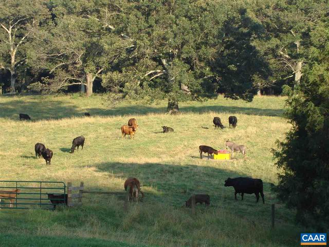 3392 EDGEMONT FARM, North Garden, VA 22959