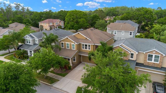 7029 DOWLING MILL CIRCLE, Tampa, FL 33625