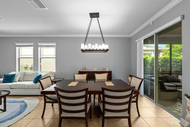 7029 DOWLING MILL CIRCLE, Tampa, FL 33625