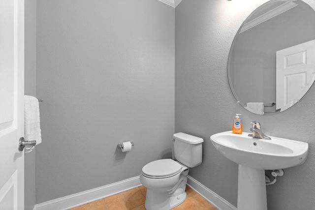 7029 DOWLING MILL CIRCLE, Tampa, FL 33625