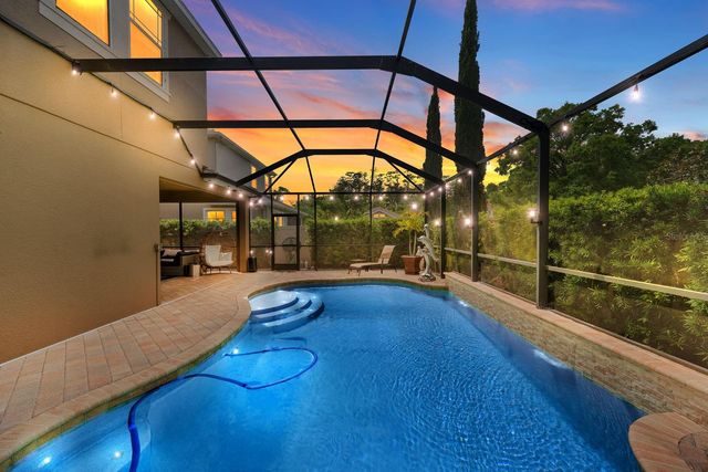 7029 DOWLING MILL CIRCLE, Tampa, FL 33625