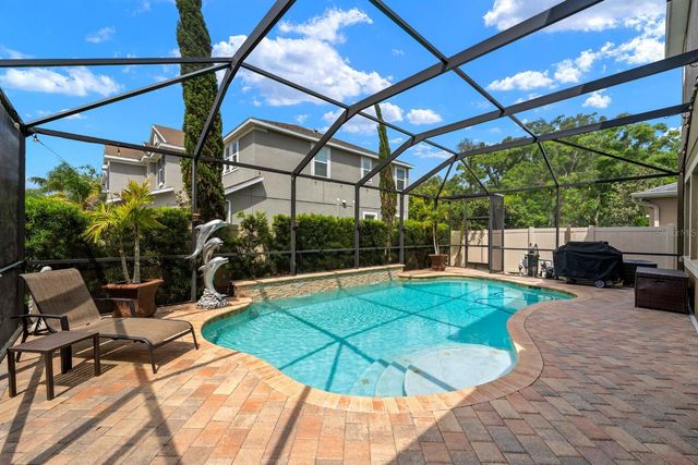 7029 DOWLING MILL CIRCLE, Tampa, FL 33625