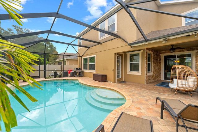 7029 DOWLING MILL CIRCLE, Tampa, FL 33625