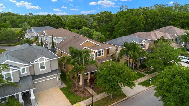 7029 DOWLING MILL CIRCLE, Tampa, FL 33625