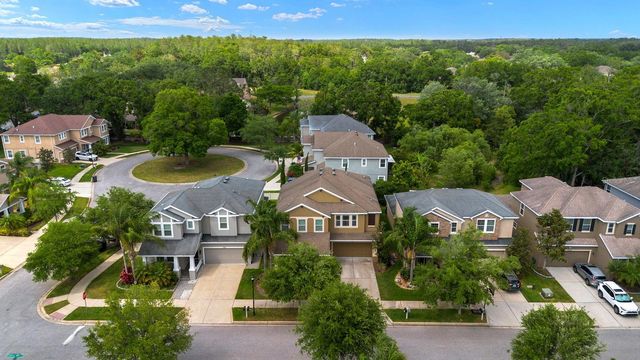 7029 DOWLING MILL CIRCLE, Tampa, FL 33625