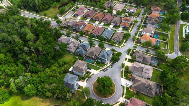 7029 DOWLING MILL CIRCLE, Tampa, FL 33625