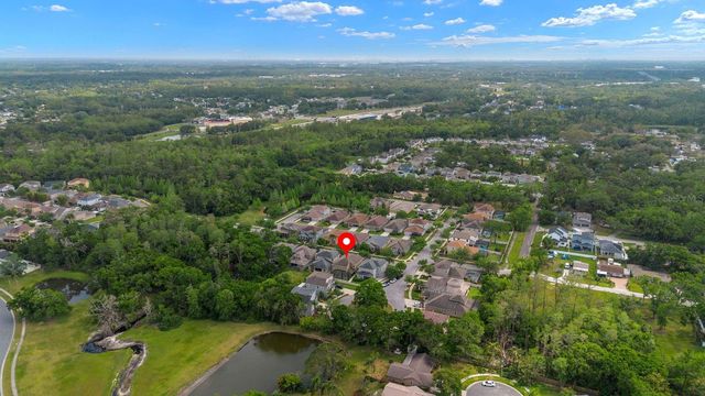7029 DOWLING MILL CIRCLE, Tampa, FL 33625