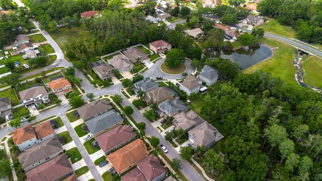 7029 DOWLING MILL CIRCLE, Tampa, FL 33625