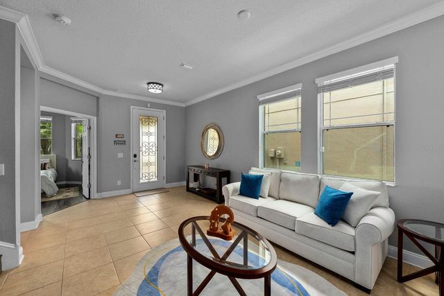 7029 DOWLING MILL CIRCLE, Tampa, FL 33625