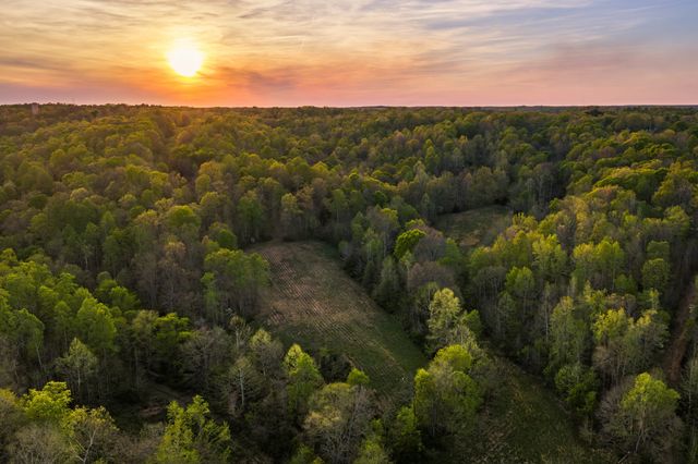 4231 Lylewood Rd, Indian Mound, TN 37079