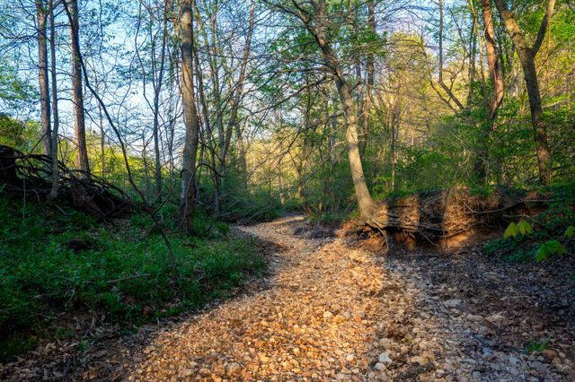 4231 Lylewood Rd, Indian Mound, TN 37079
