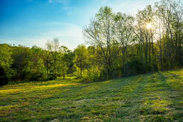 4231 Lylewood Rd, Indian Mound, TN 37079