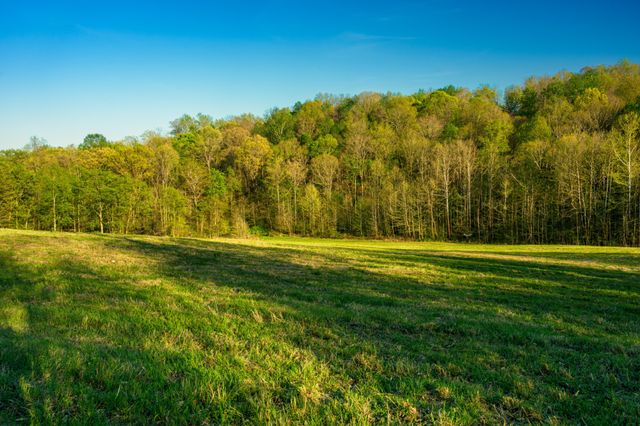 4231 Lylewood Rd, Indian Mound, TN 37079