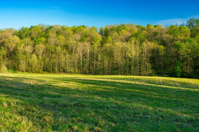 4231 Lylewood Rd, Indian Mound, TN 37079