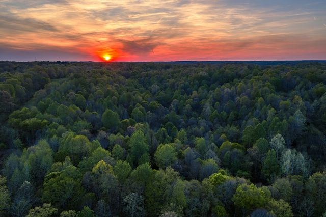 4231 Lylewood Rd, Indian Mound, TN 37079