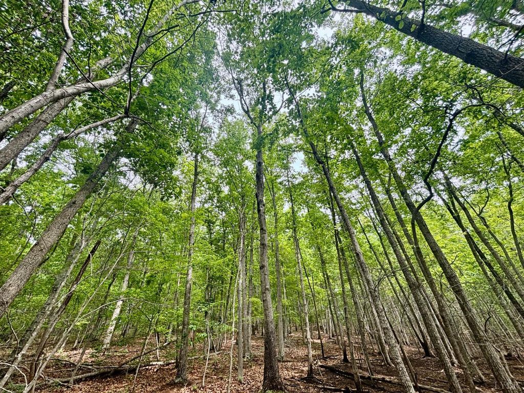0 Otterwood Court, Evington, VA 24550