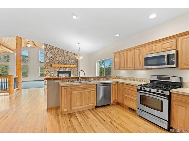 29004 Amerind Springs, Pine, CO 80470