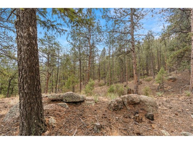 29004 Amerind Springs, Pine, CO 80470