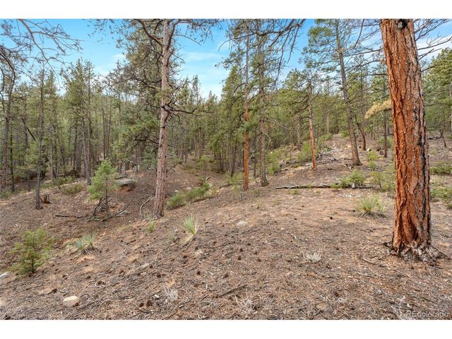 29004 Amerind Springs, Pine, CO 80470