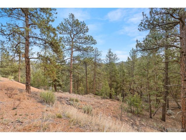 29004 Amerind Springs, Pine, CO 80470
