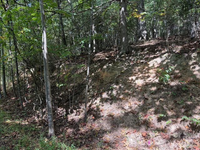 000A Rosalie Lane 19, Waynesville, NC 28785