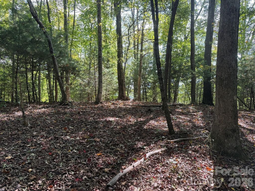 000A Rosalie Lane 19, Waynesville, NC 28785