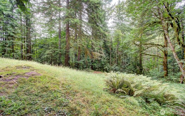 20301 NE 225th Avenue, Brush Prairie, WA 98606