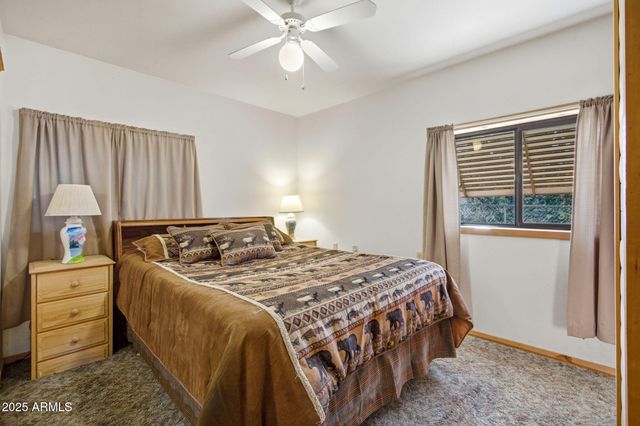 3157 Tonto Drive, Overgaard, AZ 85933