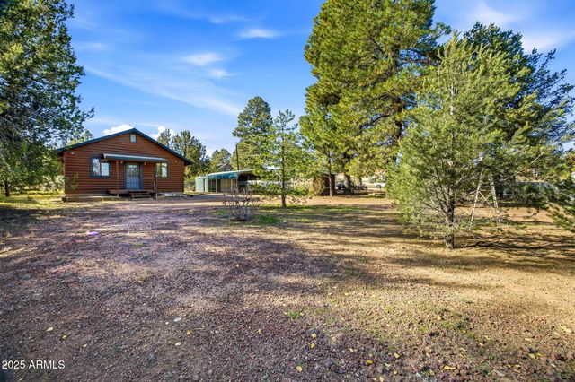 3157 Tonto Drive, Overgaard, AZ 85933