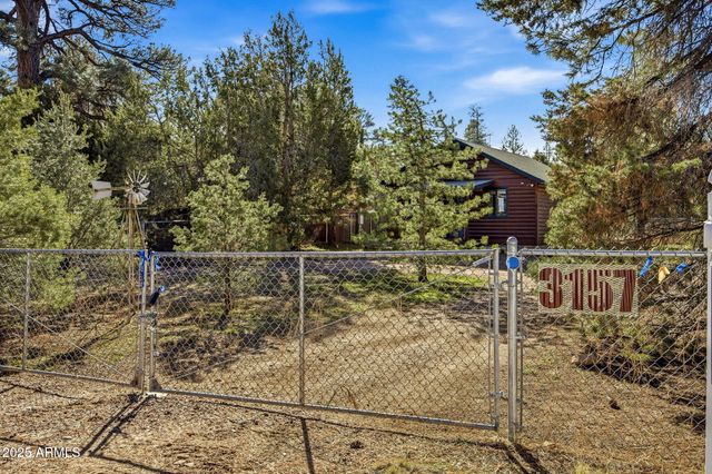 3157 Tonto Drive, Overgaard, AZ 85933