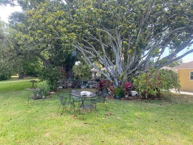 2134 MCKINLEY STREET, Clearwater, FL 33765