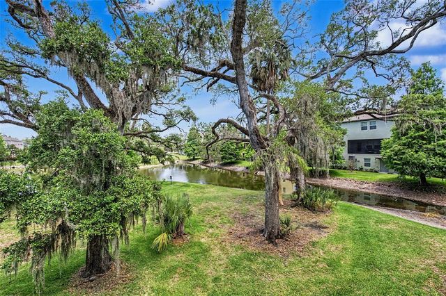 4731 TUSCAN LOON DRIVE, Tampa, FL 33619