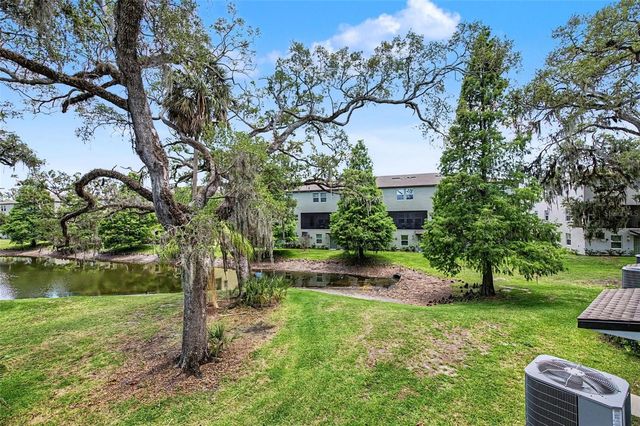 4731 TUSCAN LOON DRIVE, Tampa, FL 33619