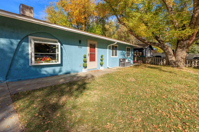 905 E Cleveland Avenue, Fruita, CO 81521