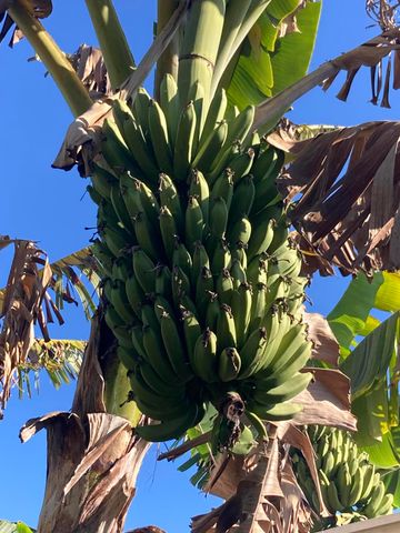 3112 SE 24th St Street, Okeechobee, FL 34974