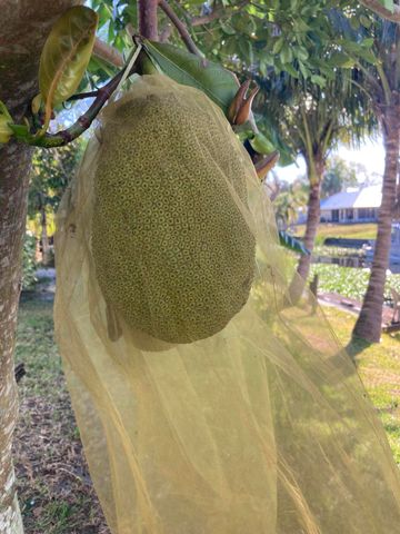 3112 SE 24th St Street, Okeechobee, FL 34974