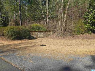 Lot 29 PAINT CREEK LANE, Weogufka, AL 35151