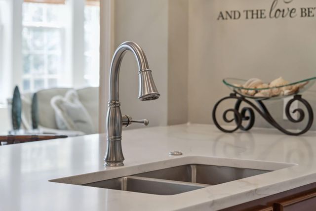 1146 Ayers Plantation Way, Mount Pleasant, SC 29466