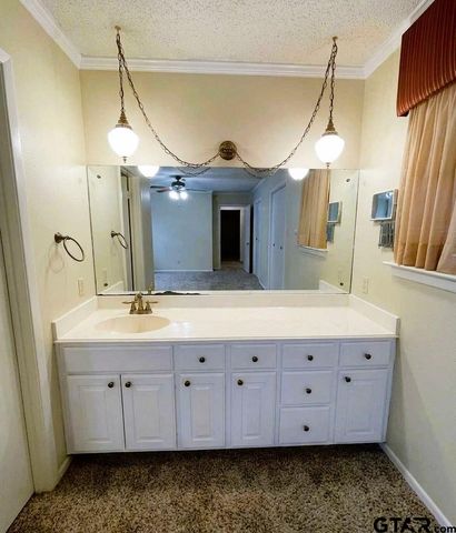 14264 Valley View Ridge, Tyler, TX 75709