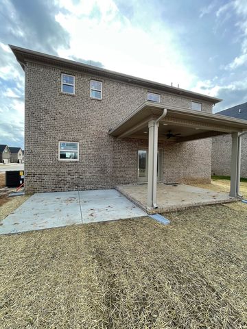 199 Brandon Woods Drive Lot 124, Spring Hill, TN 37174