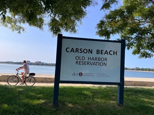 33 Ward St 1, Boston, MA 02127