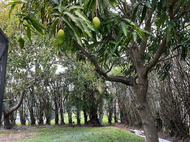 1250 SW 15th Avenue 1250, Boca Raton, FL 33486