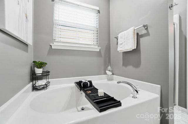 16635 Crimson Sargent Drive, Charlotte, NC 28213