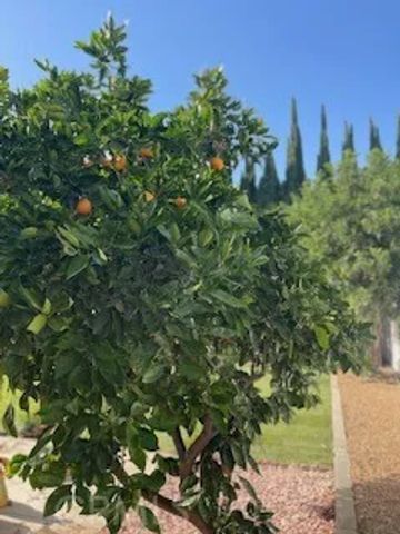 19284 Krameria, Riverside, CA 92508