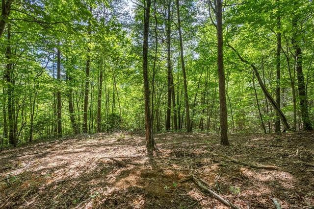 20 Pack Mountain Road, Murphy, NC 28906