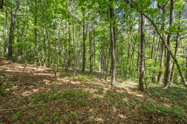 20 Pack Mountain Road, Murphy, NC 28906