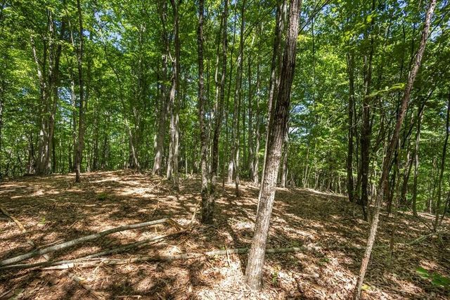 20 Pack Mountain Road, Murphy, NC 28906
