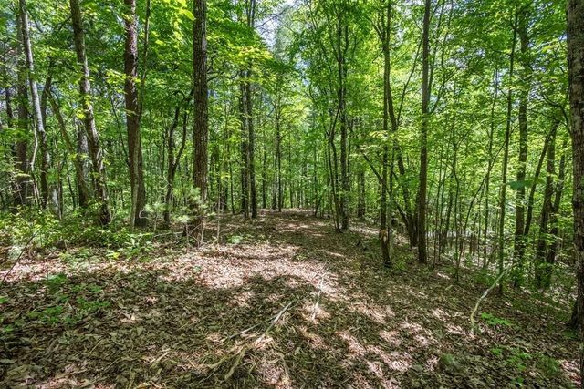 20 Pack Mountain Road, Murphy, NC 28906